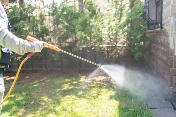 Best Mosquito Control Services  in Friendship Heights Village, MD