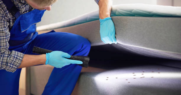 Best Cockroach Control Services  in Friendship Heights Village, MD