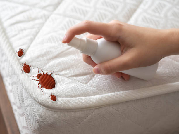 Best Emergency Pest Control  in Friendship Heights Village, MD