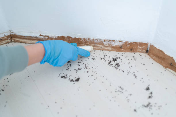 Wildlife Control Services in Friendship Heights Village, MD